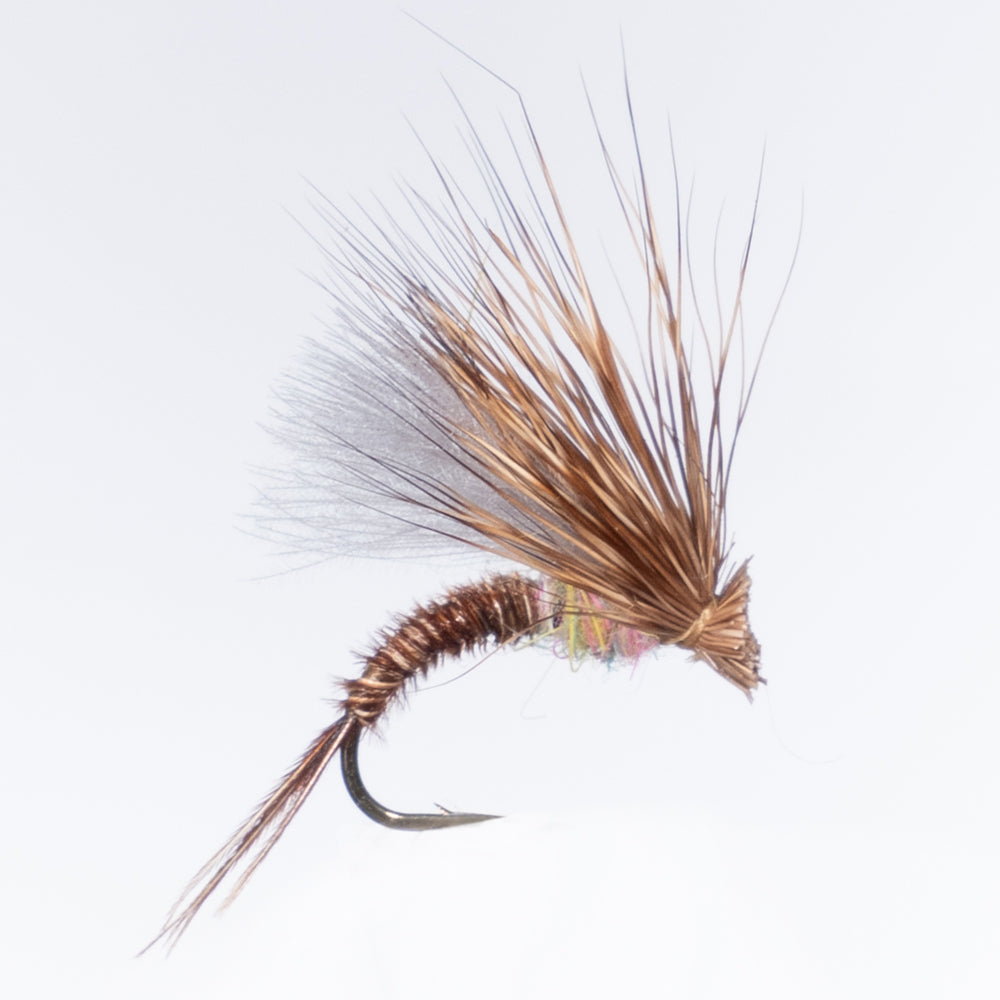 Chris Calabrese - Hendrickson 1/2 and 1/2