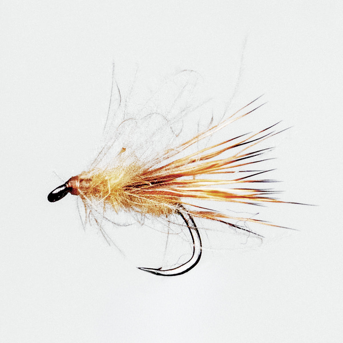 Jeff White - Baffled Caddis