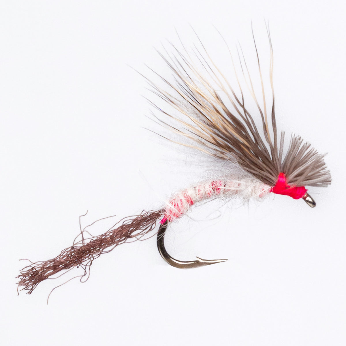 Jeff White - Hot Pink Lady