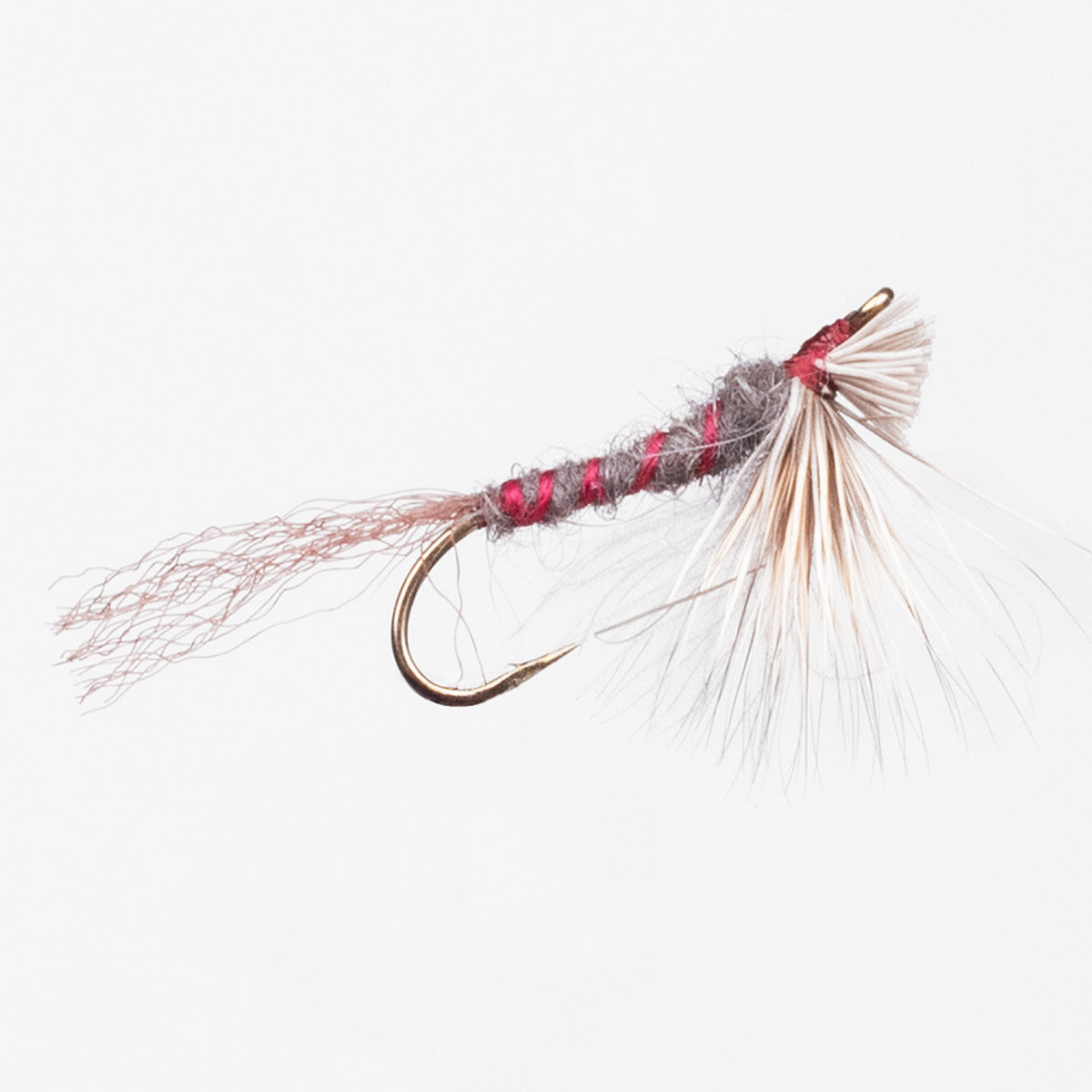 Jeff White - Swimming ISO Emergers