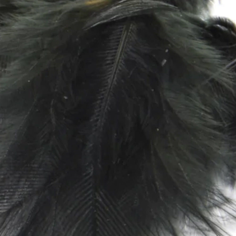 Premium Hungarian Partridge Feathers