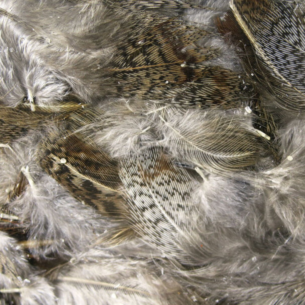 Premium Hungarian Partridge Feathers