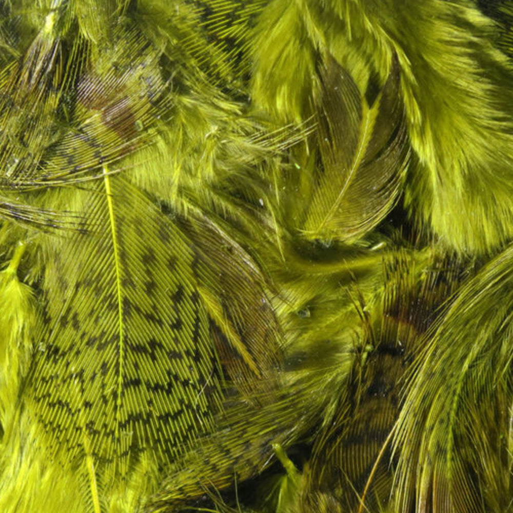 Premium Hungarian Partridge Feathers