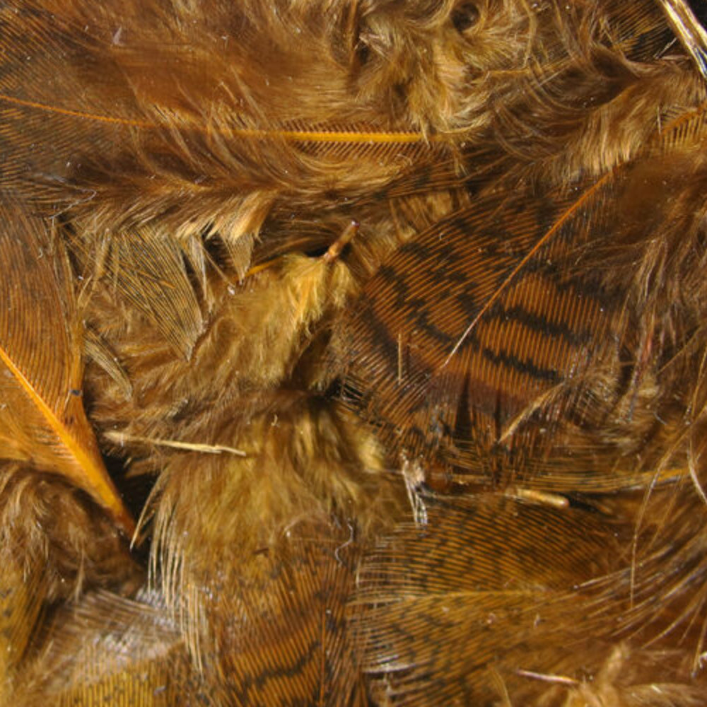 Premium Hungarian Partridge Feathers