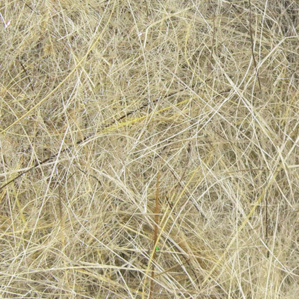 Hare's Ear Plus Dubbing