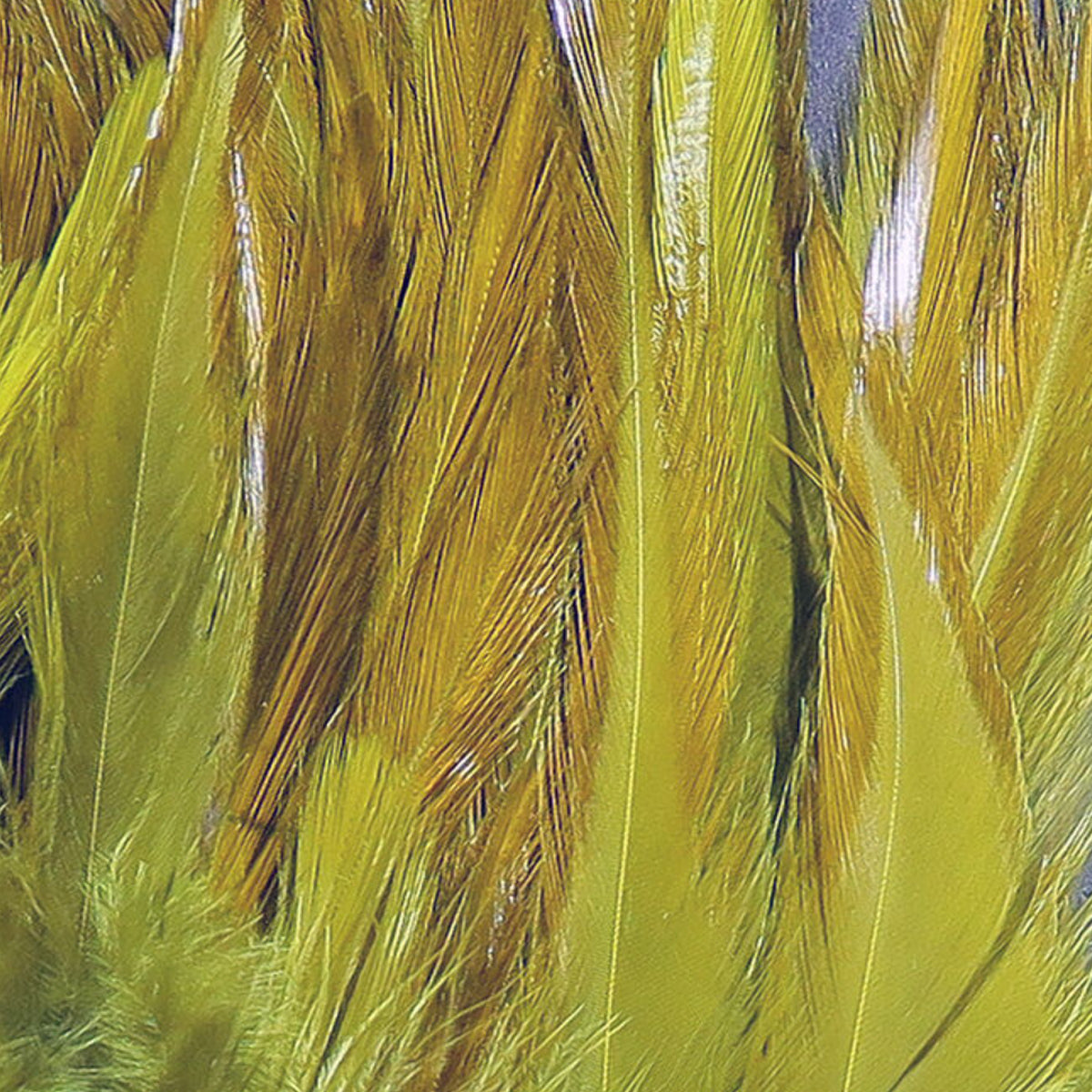 Hareline Strung Chinese Saddle 5-7 Inch