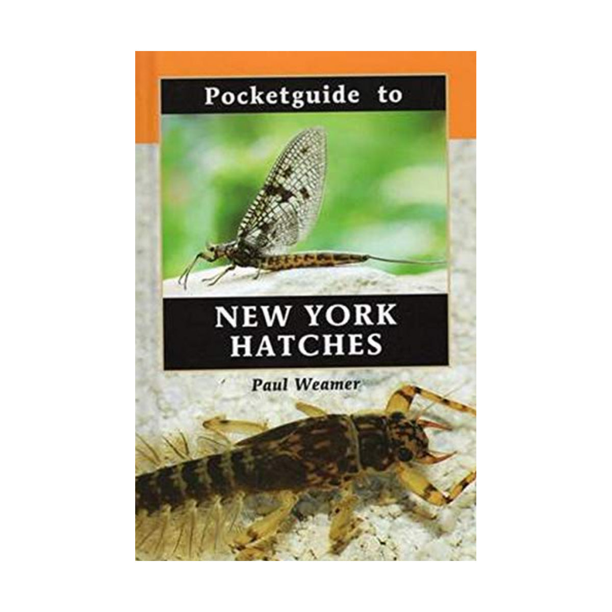 Pocket Guide to New York Hatches