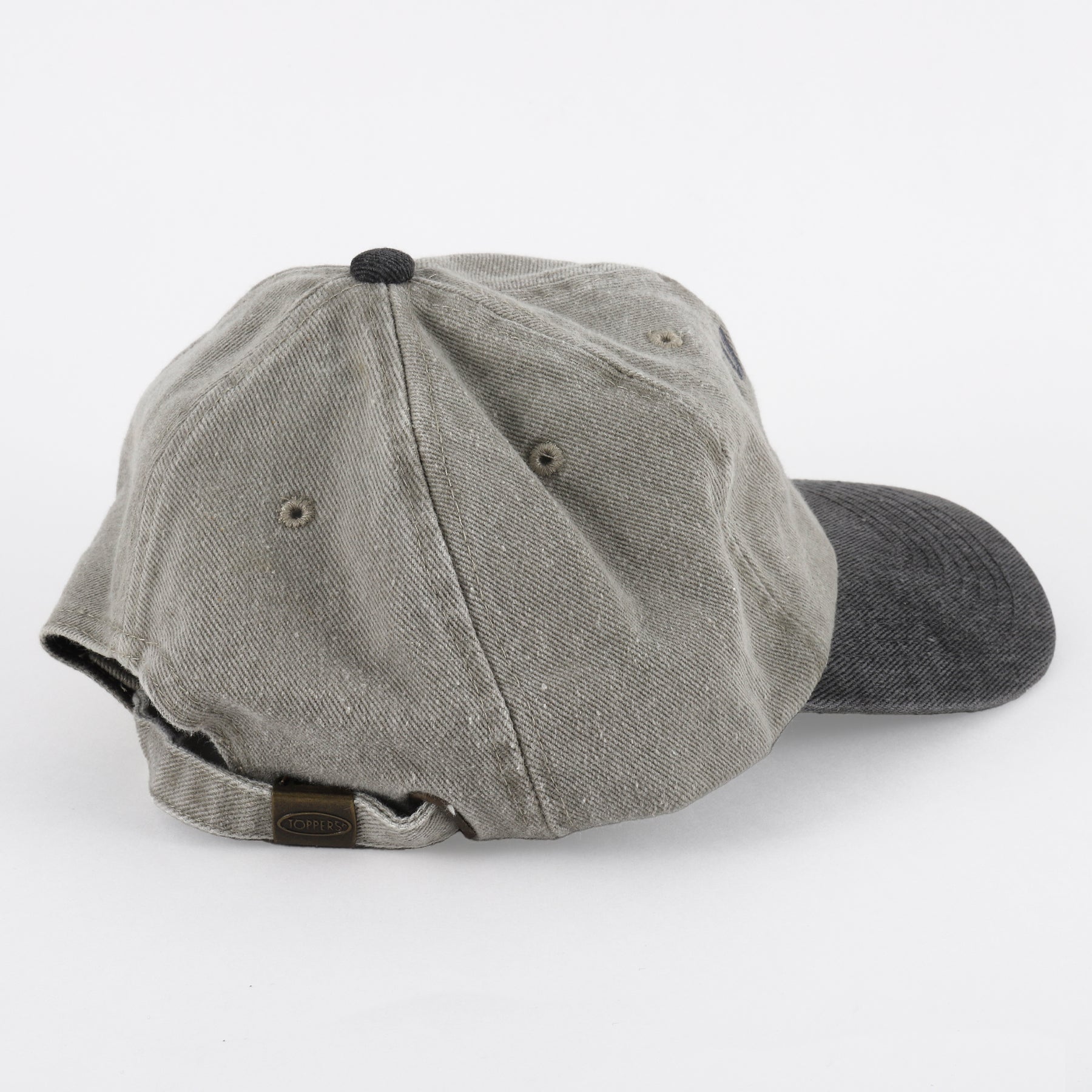 Housefly Classic Hat