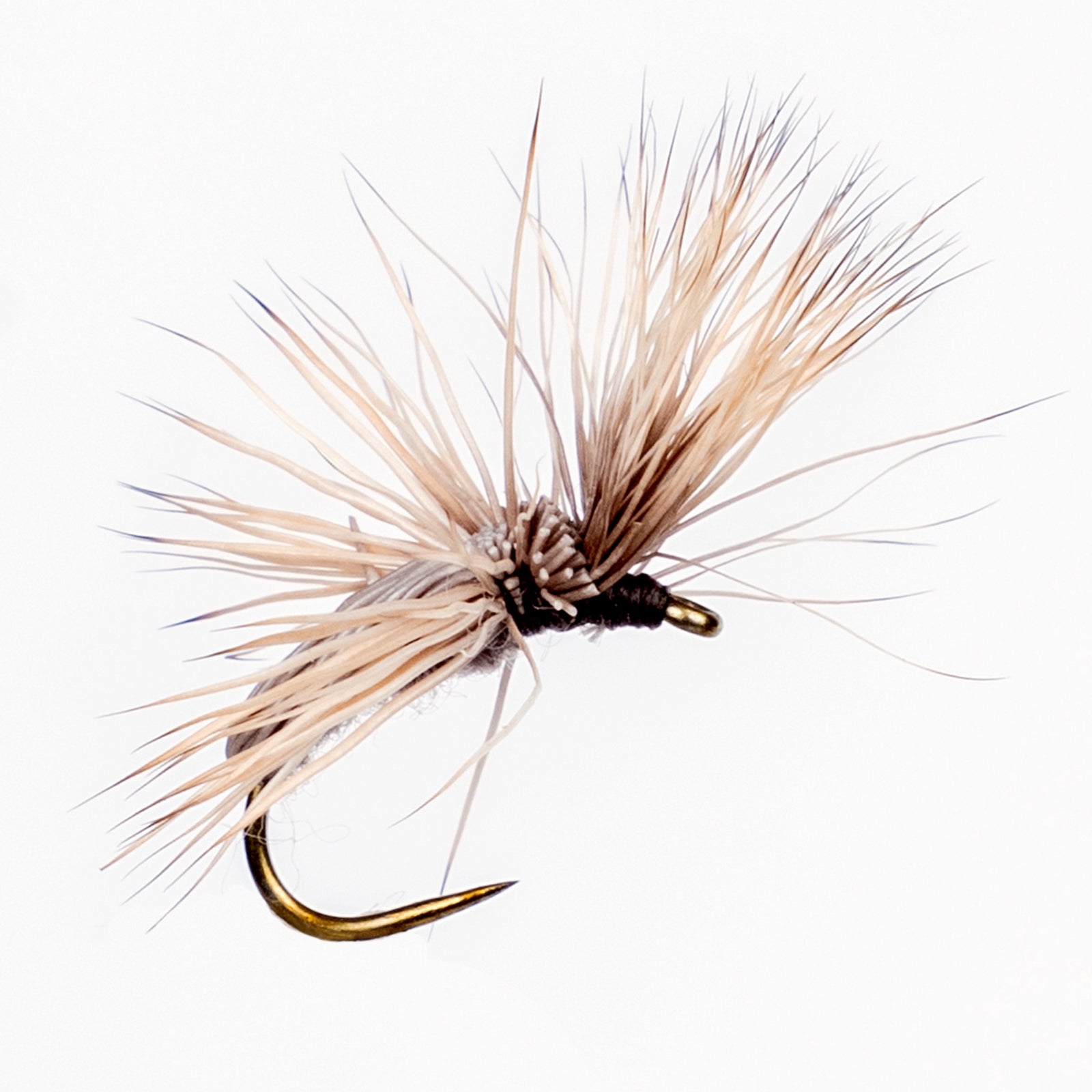 Dee Finkel - Screaming Banshee - Grey
