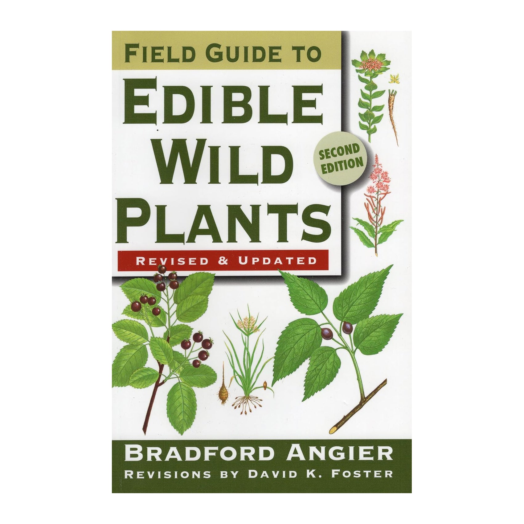 Field Guide to Edible Wild Plants