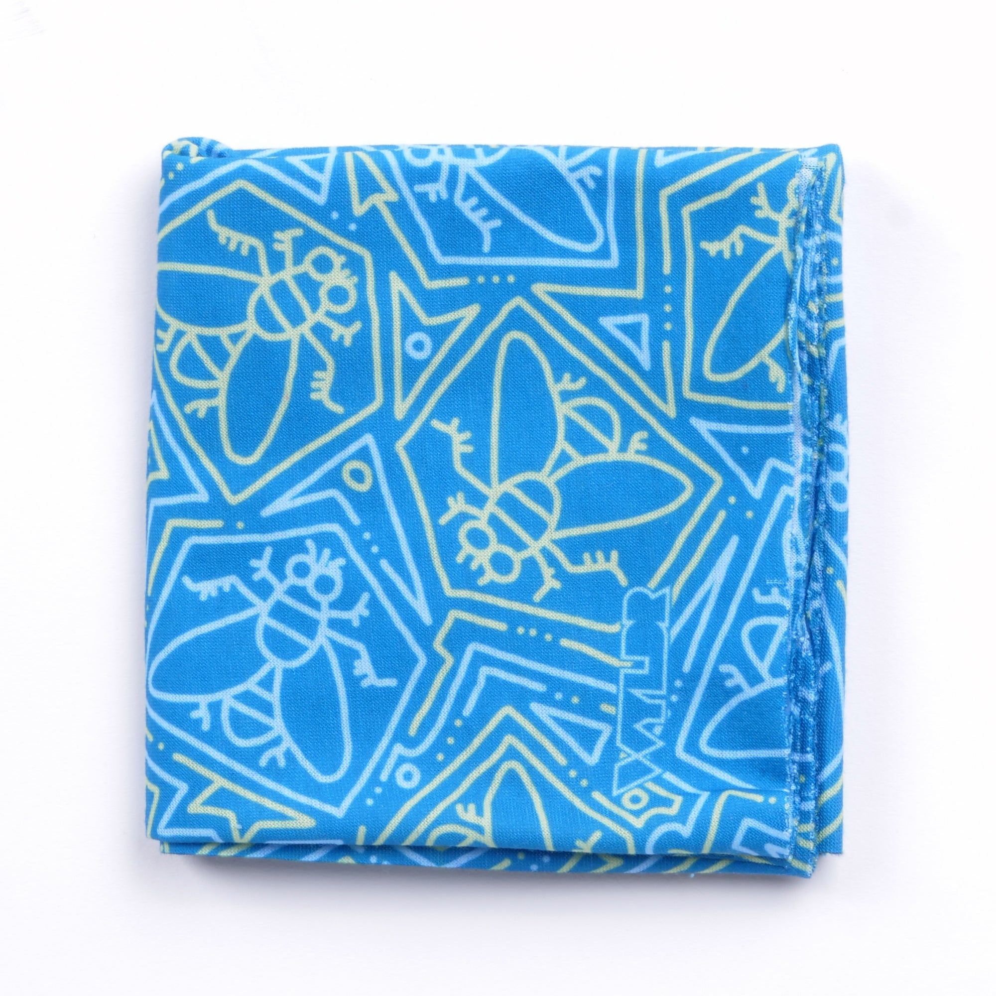 Housefly Sun Mask - Blue