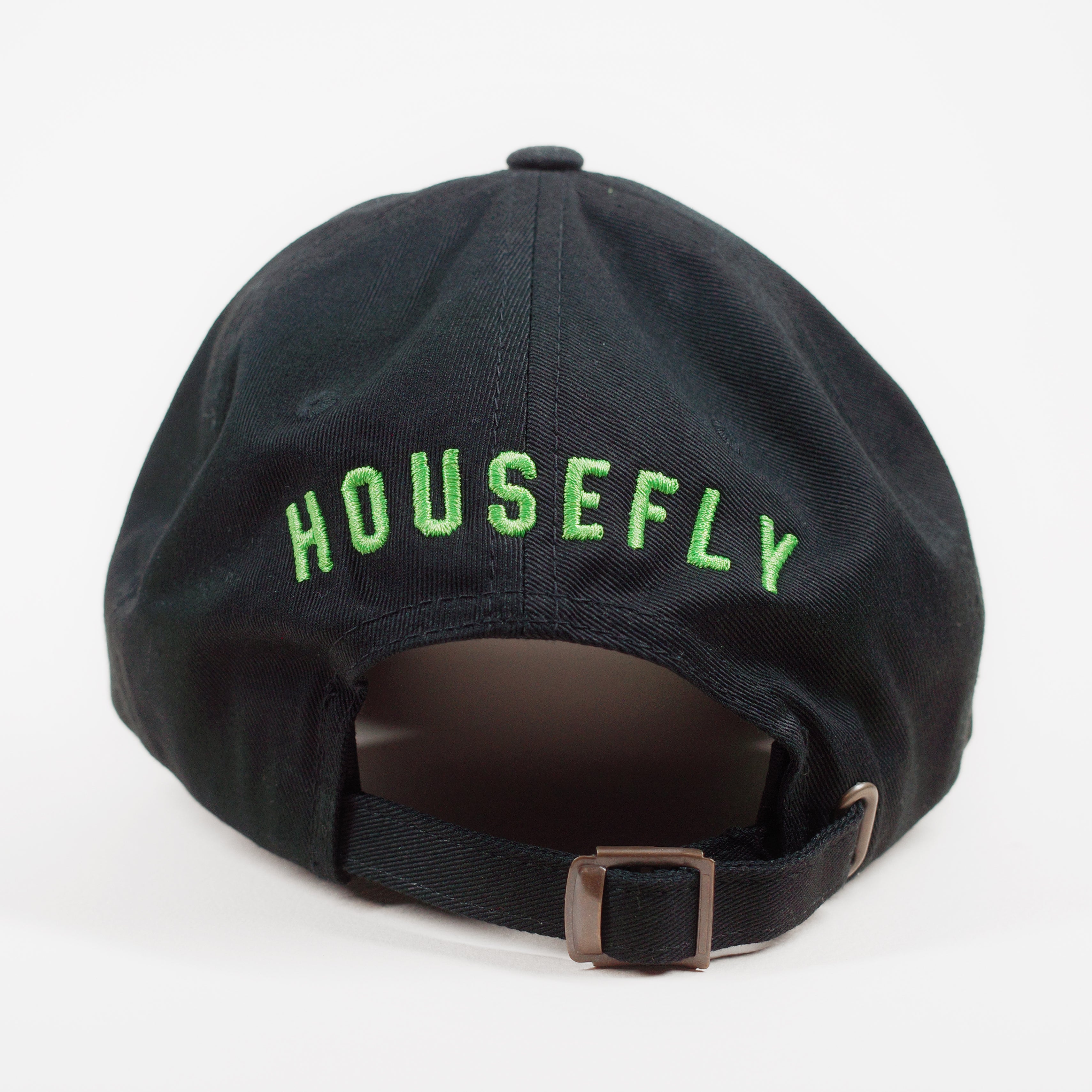 Housefly Alien Hat