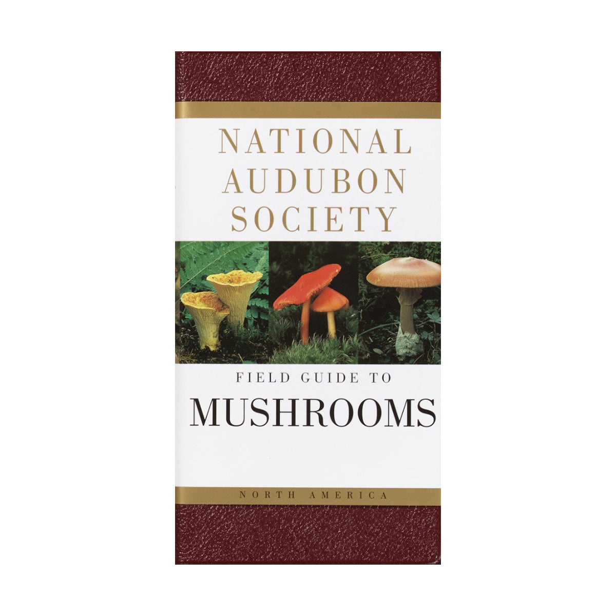 National Audubon Society Field Guide to Mushrooms