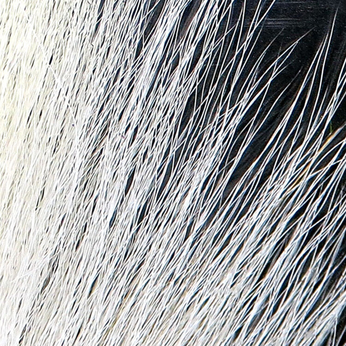 Hareline Large Northern Bucktail