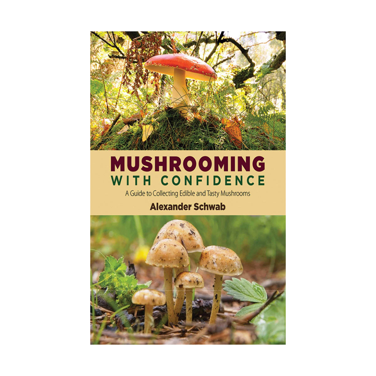 Mushrooming with Confidence: A Guide to Collecting Edible and Tasty Mushrooms