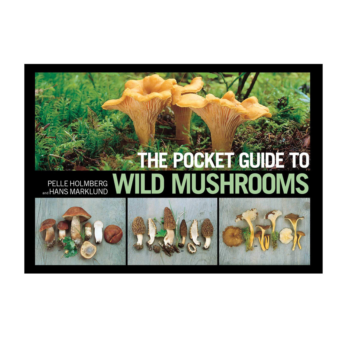 Pocket Guide to Wild Mushrooms